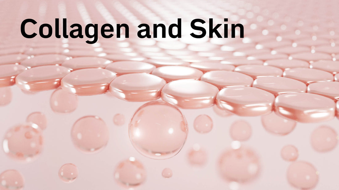 Collagen and Skin