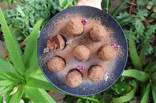 Low Carb Protein Bliss Balls